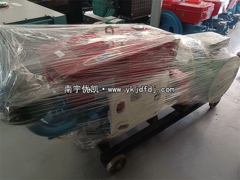 2023年6月10日，20kw單缸柴油發(fā)電機組發(fā)貨柳州