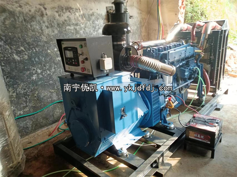 2024年3月5日，200kw濰坊雷納發(fā)電機組某學校到貨安裝